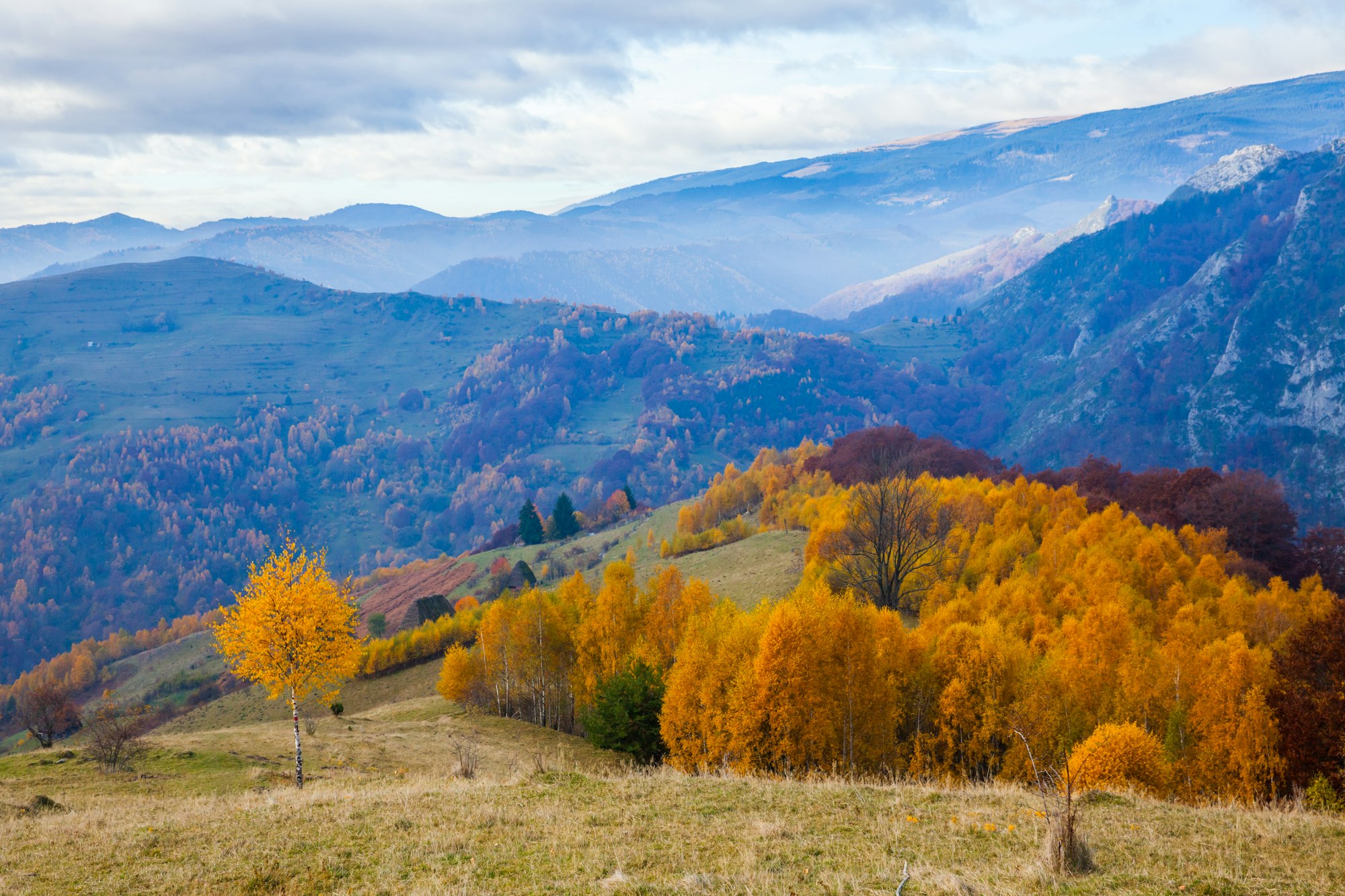 Autumn landscape from Transylvania, Romania